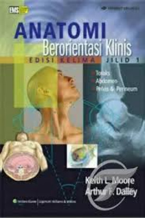 Image of Anatomi Berorientasi Klinis