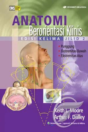 Image of Anatomi Berorientasi Klinis