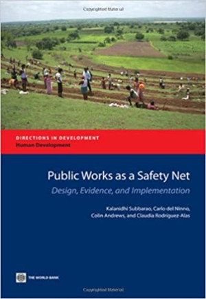 Image of Public Works as a safety Net Design, Evidence, and Implementation