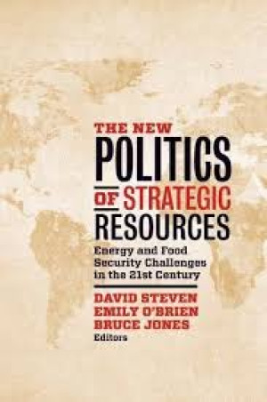 Image of The New Politics of Strategic Resources